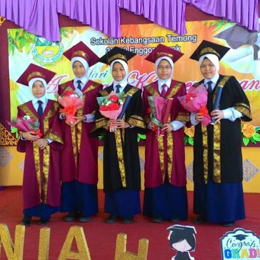 SEKOLAH KEBANGSAAN TEMONG